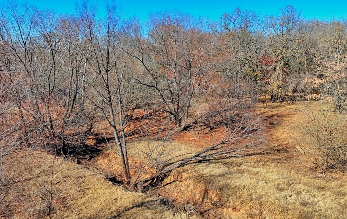 401 acres in Clay County