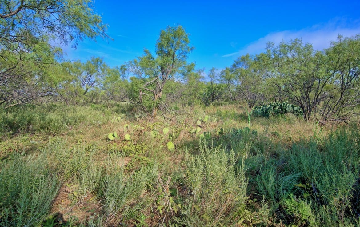 75 acres in Clay County