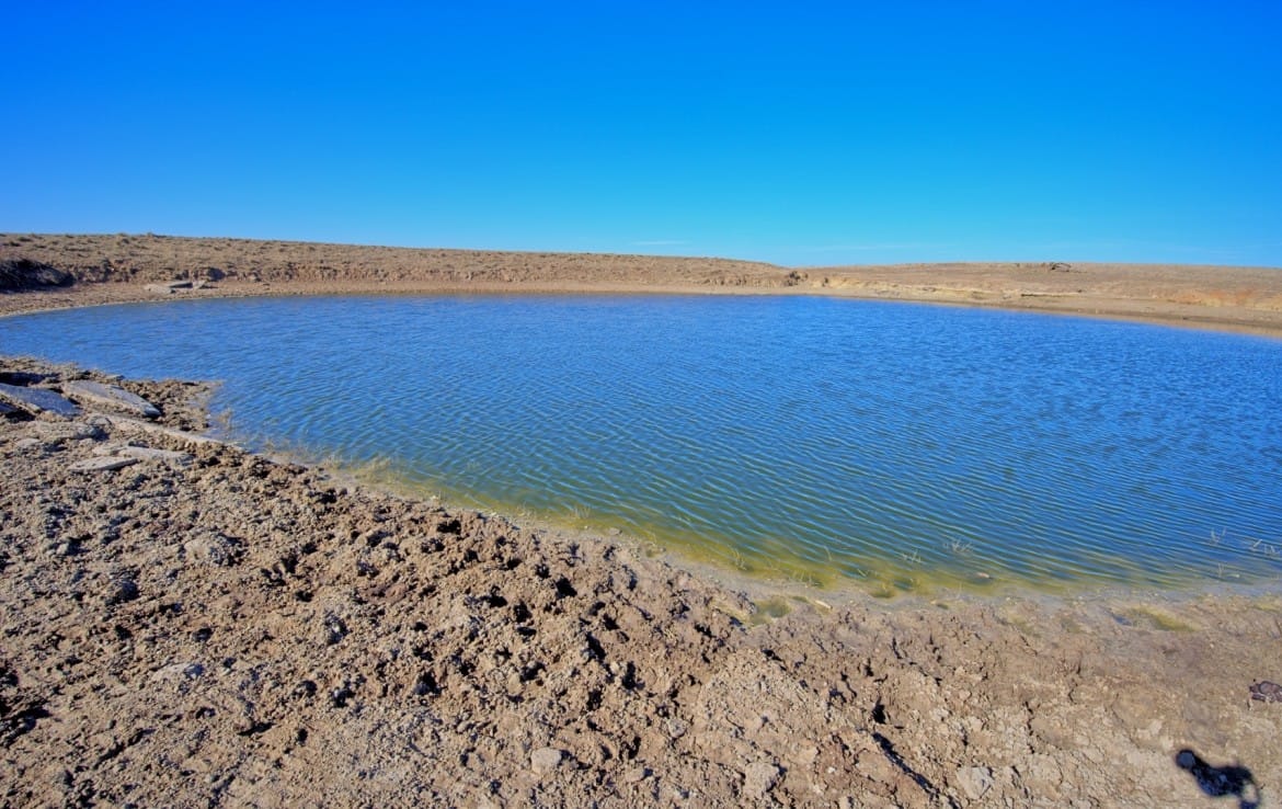 401 acres in Clay County