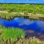 75 acres in Clay County