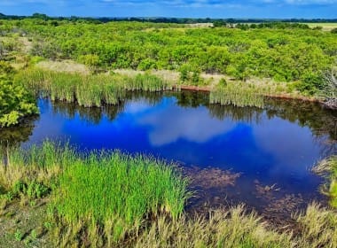 75 acres in Clay County