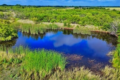 75 acres in Clay County