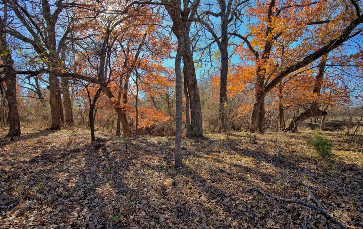 401 acres in Clay County