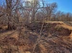 401 acres in Clay County
