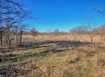 401 acres in Clay County