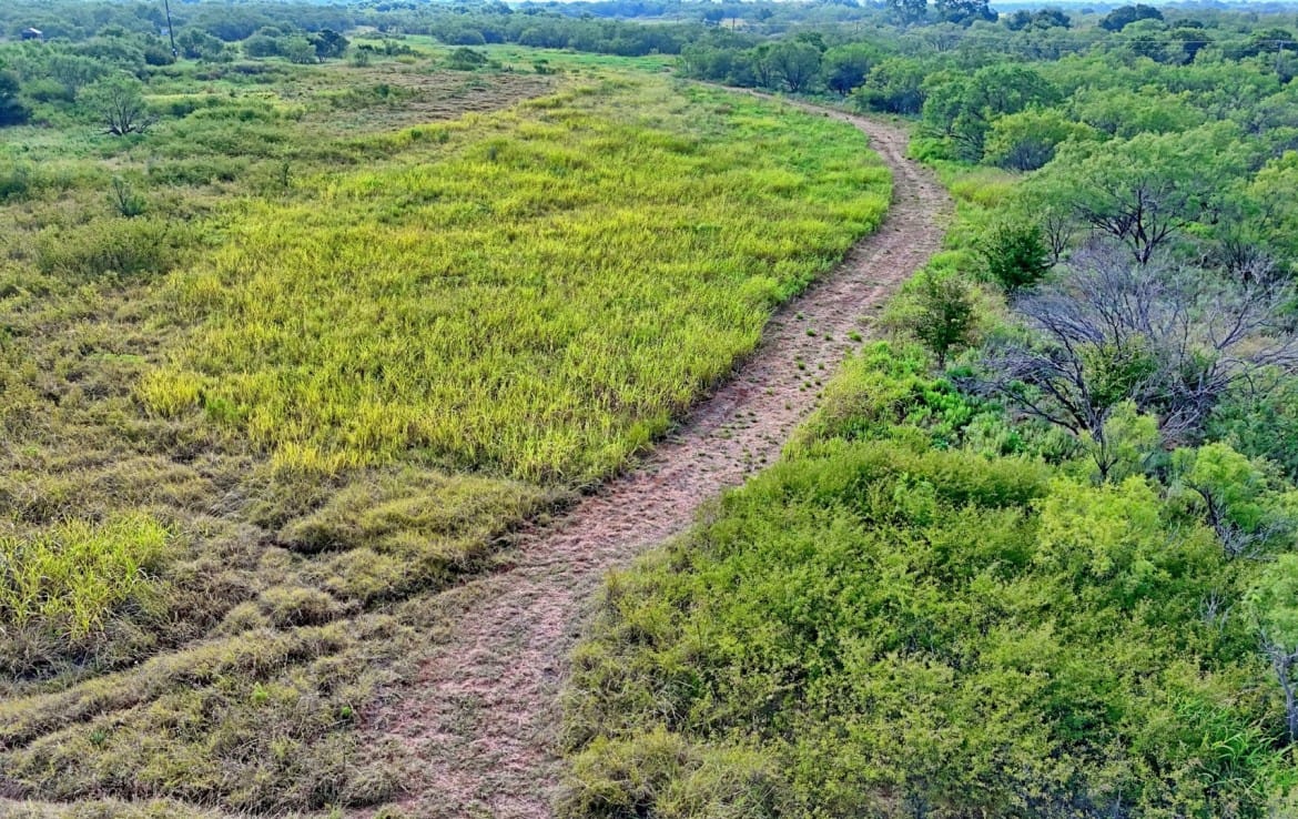 75 acres in Clay County