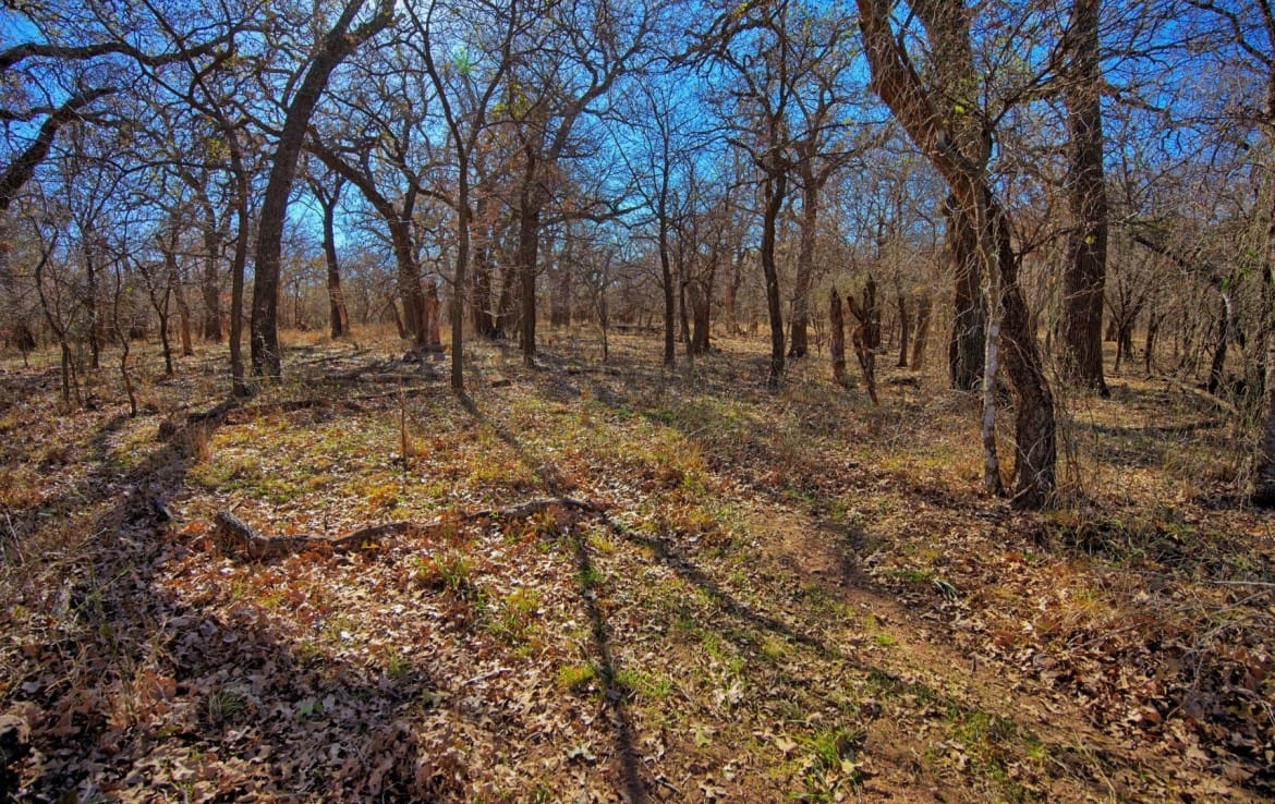 401 acres in Clay County