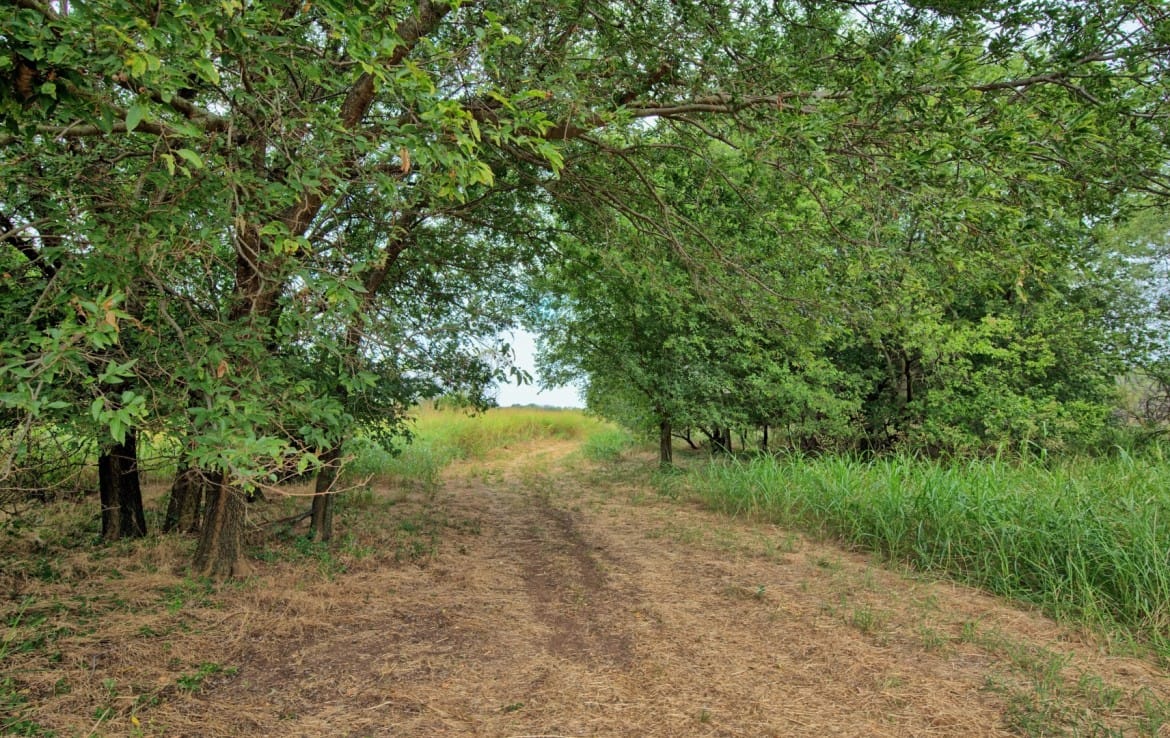 75 acres in Clay County