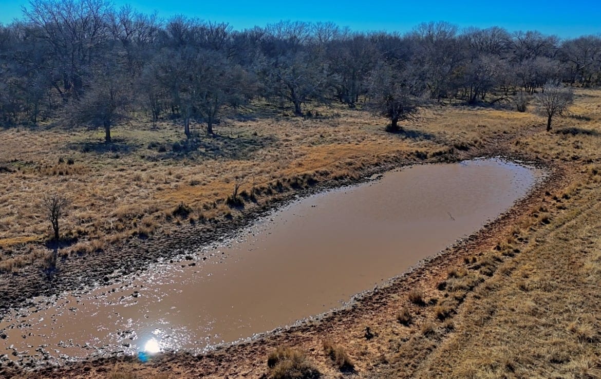 401 acres in Clay County