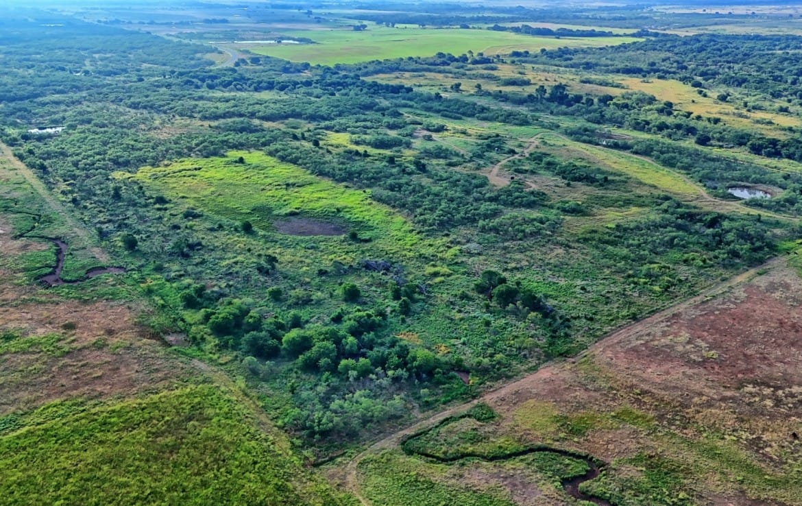 75 acres in Clay County