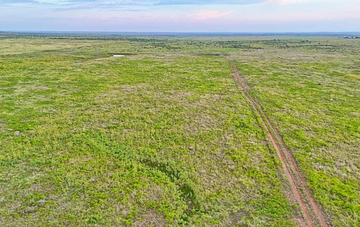 430 acres in Archer County