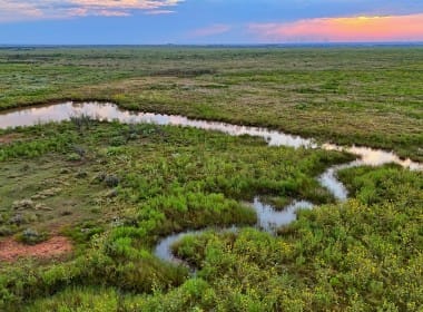 165 acres in Archer County