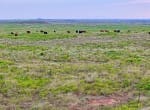 165 acres in Archer County
