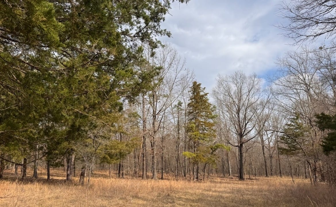 56 acres in Red River County