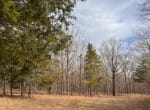 56 acres in Red River County