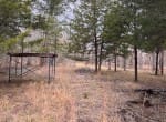 56 acres in Red River County