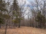 56 acres in Red River County
