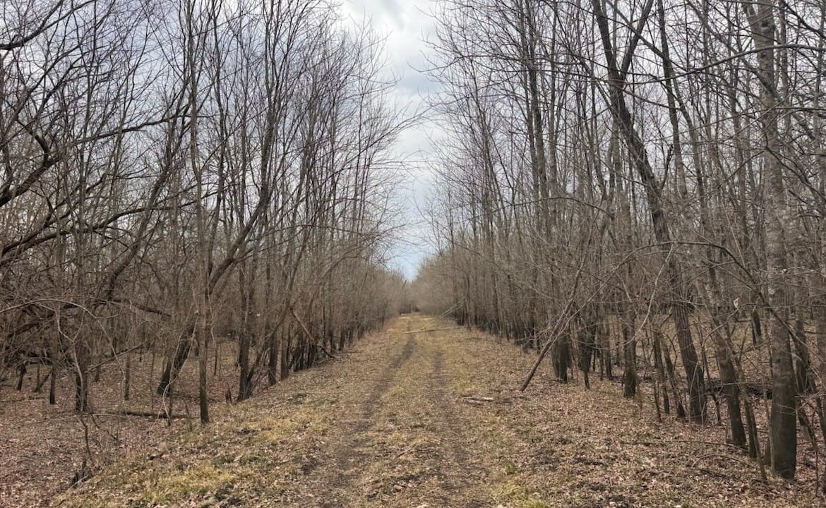 56 acres in Red River County