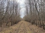 56 acres in Red River County