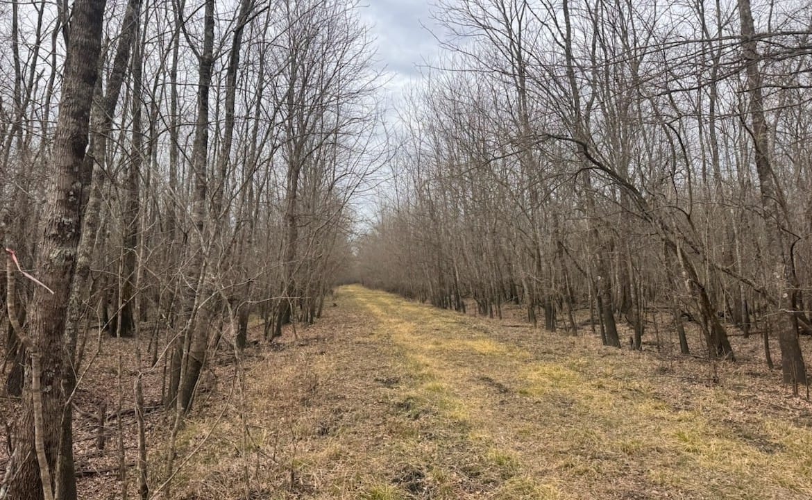 56 acres in Red River County