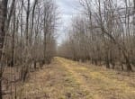 56 acres in Red River County