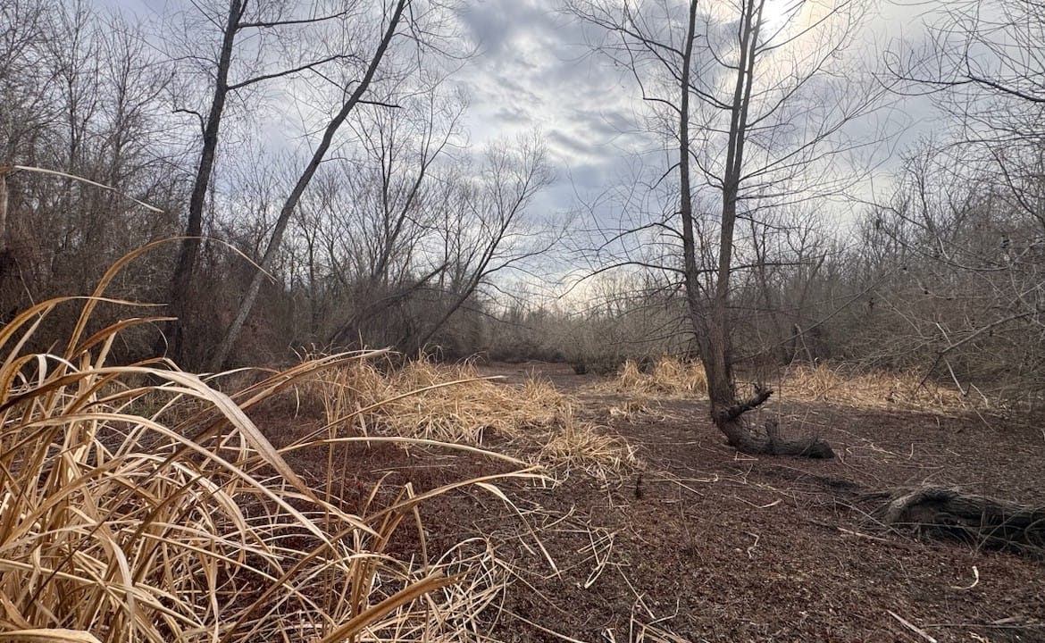 56 acres in Red River County