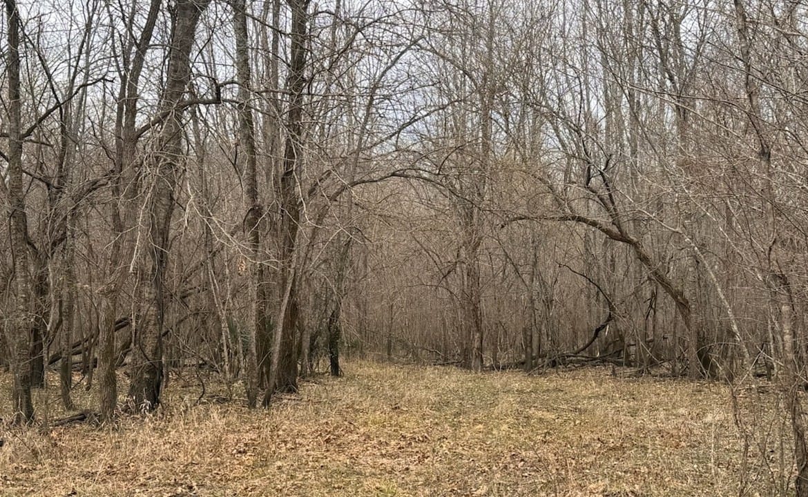 56 acres in Red River County