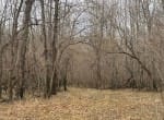 56 acres in Red River County