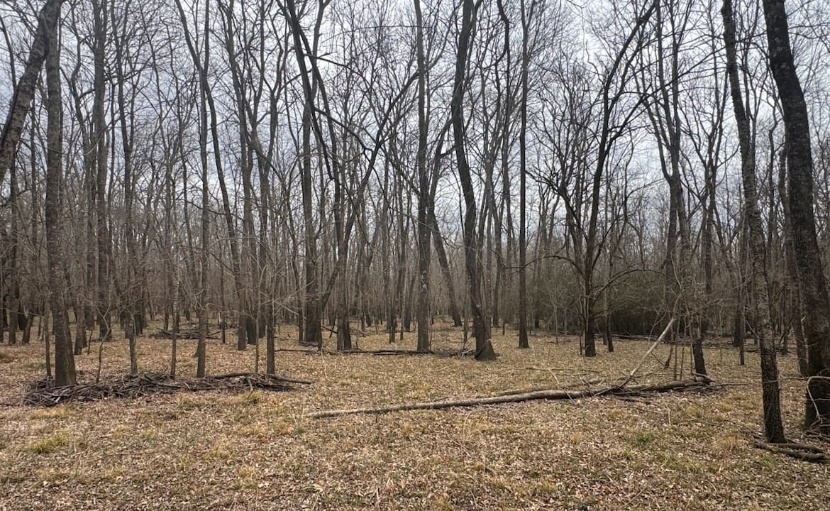 56 acres in Red River County