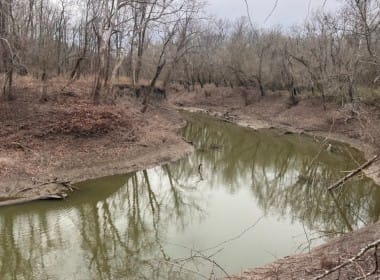 56 acres in Red River County