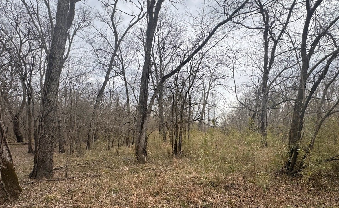 56 acres in Red River County