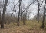 56 acres in Red River County
