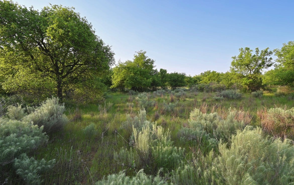 1070 acres in Hardeman County