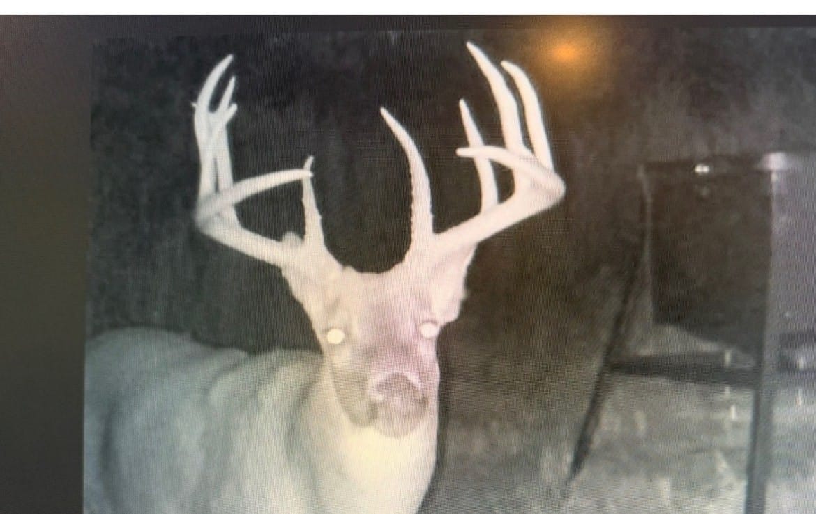 1070 acres in Hardeman County