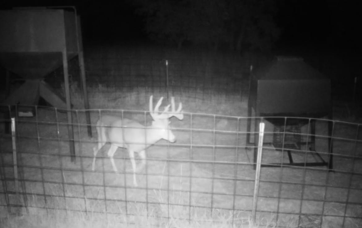 1070 acres in Hardeman County