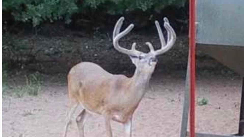 1070 acres in Hardeman County