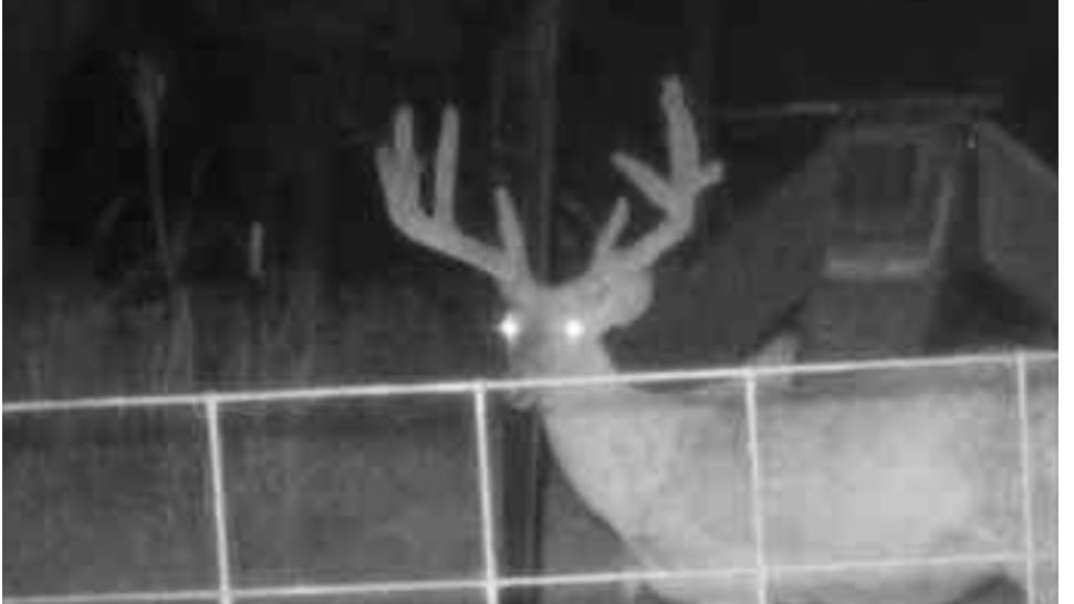 1070 acres in Hardeman County