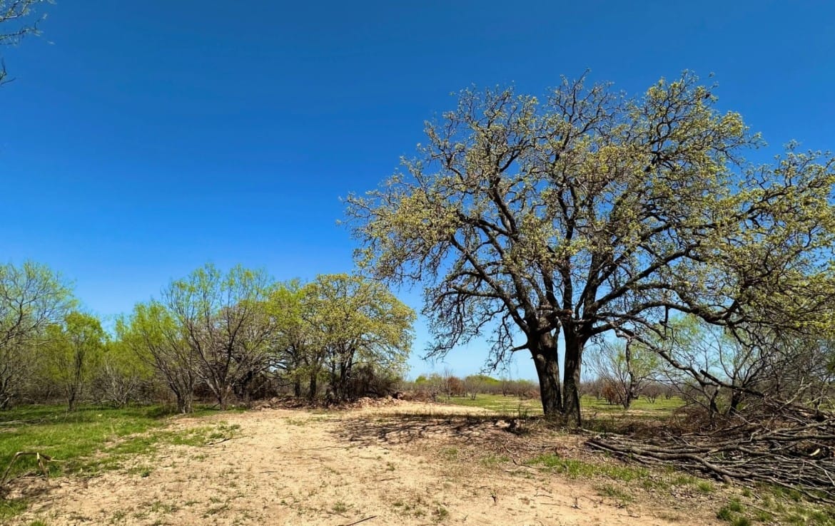 12 acres in Eastland County