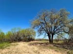 12 acres in Eastland County