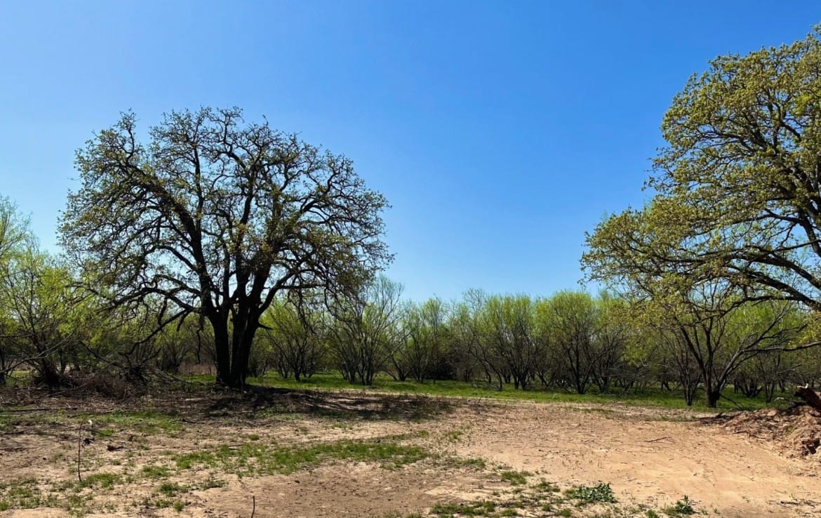 12 acres in Eastland County