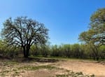 12 acres in Eastland County