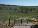 25 acres in Eastland County
