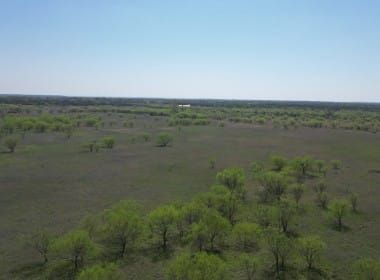 25 acres in Eastland County