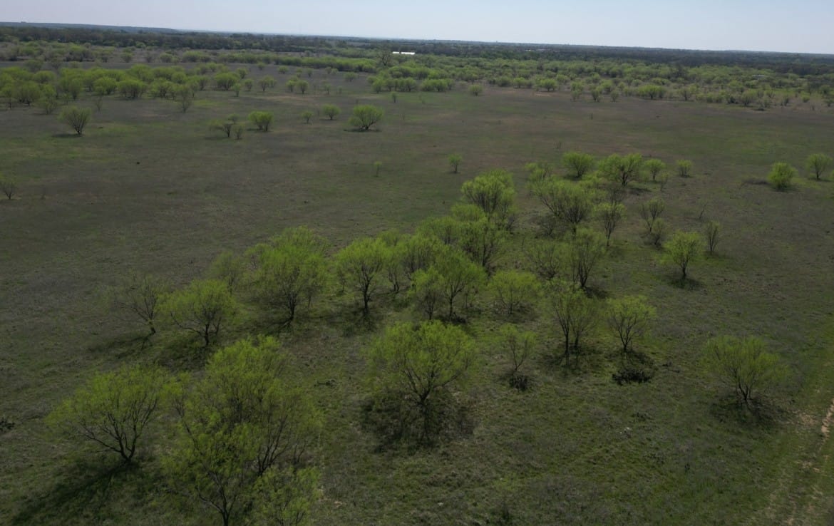 25 acres in Eastland County