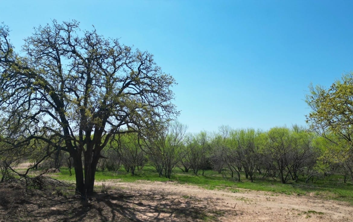 12 acres in Eastland County