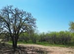 12 acres in Eastland County
