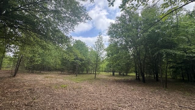 5 acres in Red River County