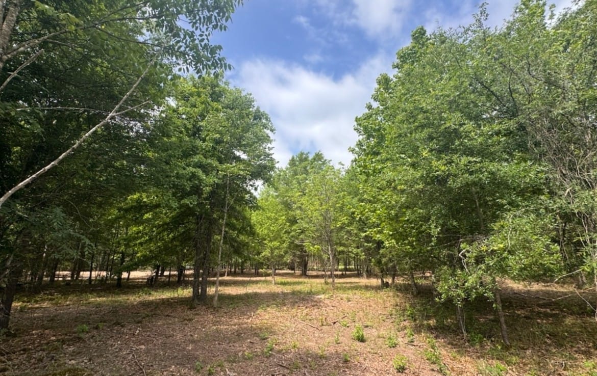 3 acres in Red River County