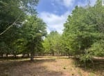 3 acres in Red River County