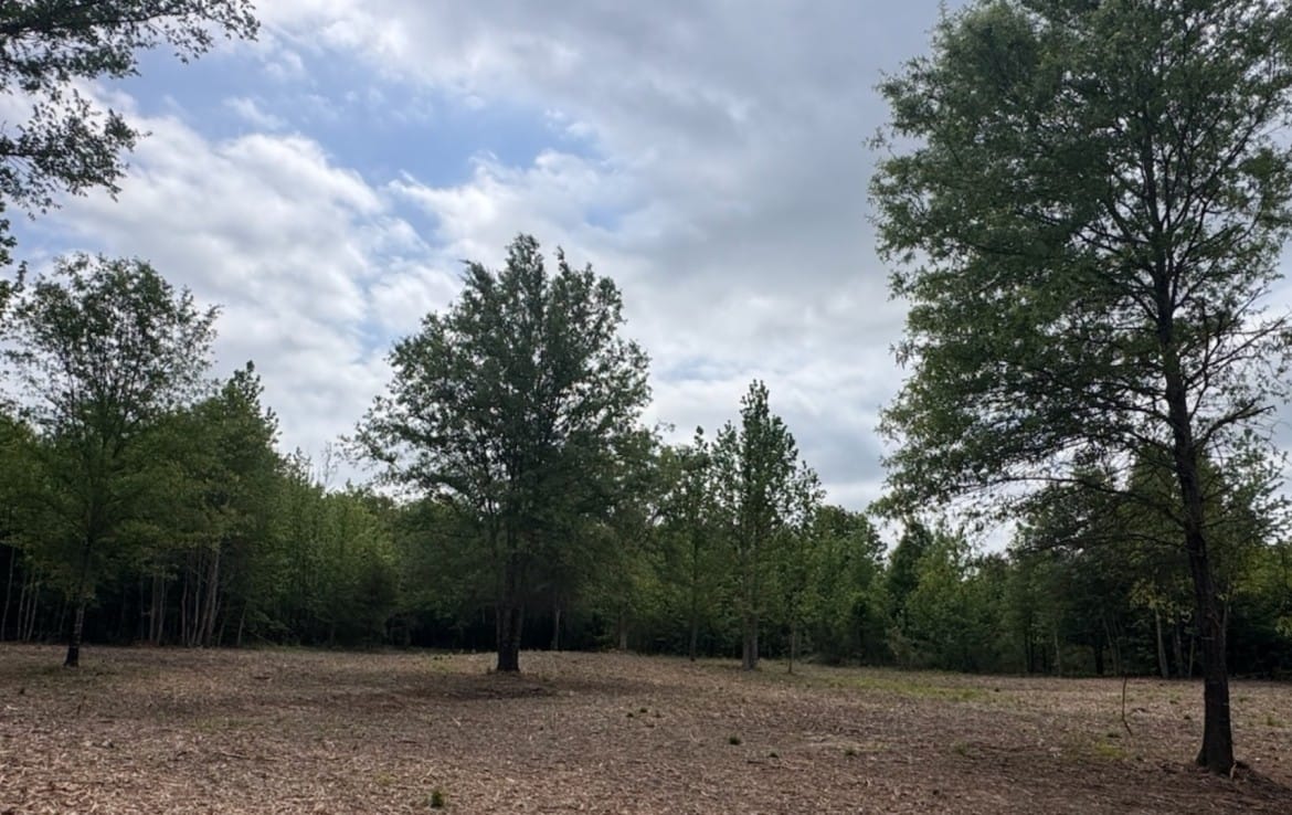 3 acres in Red River County